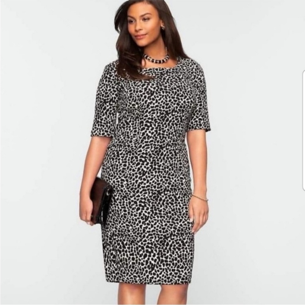 NWT. TALBOTS Animal Print Classic Knee Length Sheath Dress
